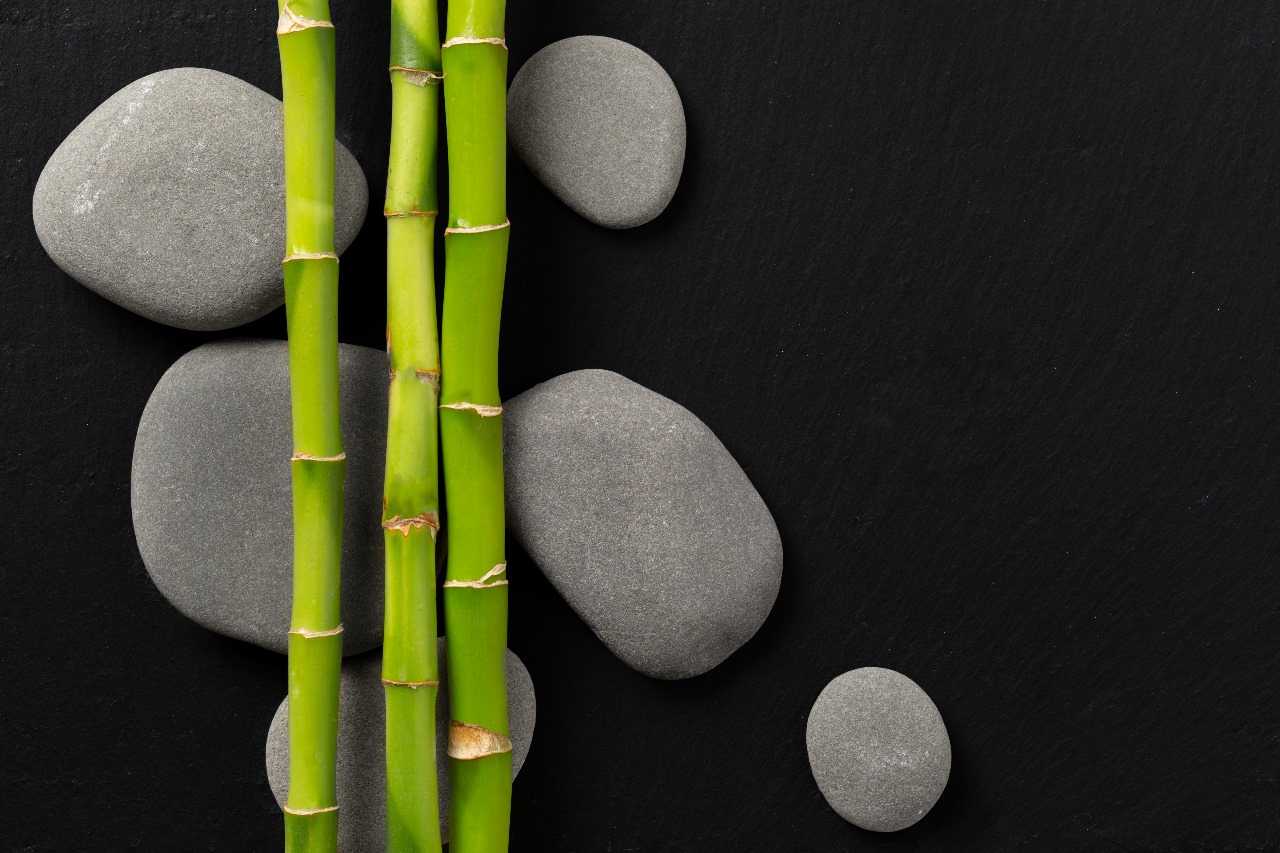 Green Bamboo images vastu tips