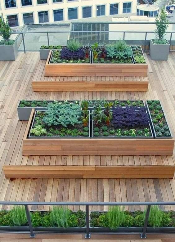 terrace garden design 8