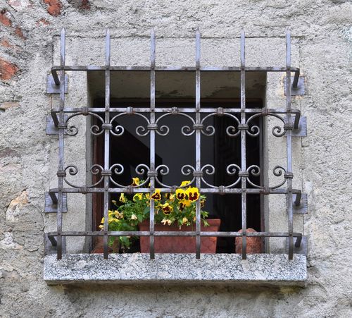 Simple Modern Window Grill Design 