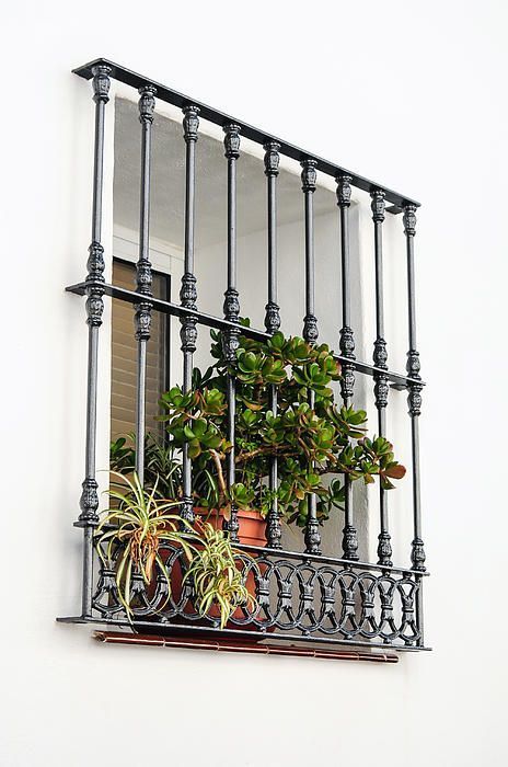 Simple Modern window grill design 