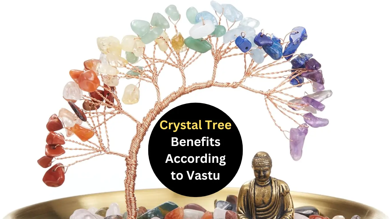 Crystal Tree Benefits According to Vastu: Direction and Advantages