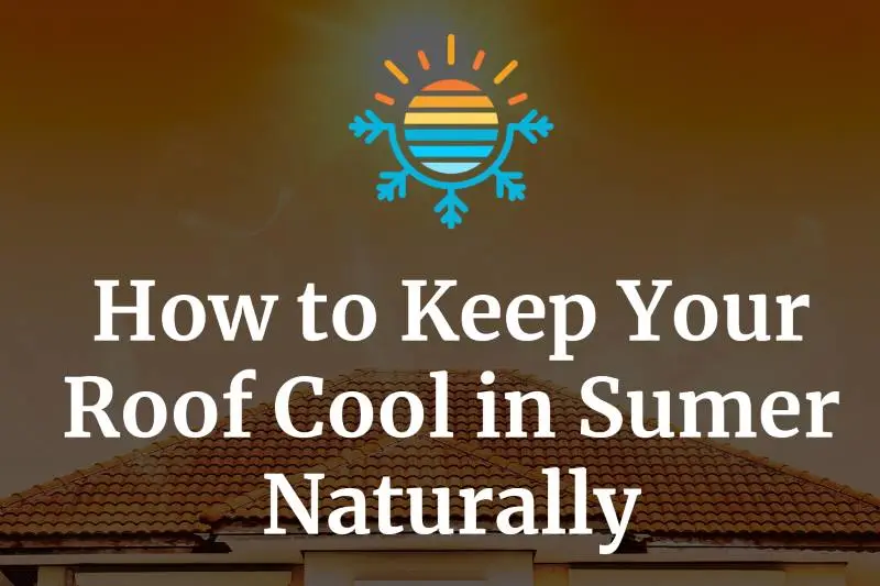 Ways-to-Keep-Your-Roof-Cool-in-The-Summer-_1718090289
