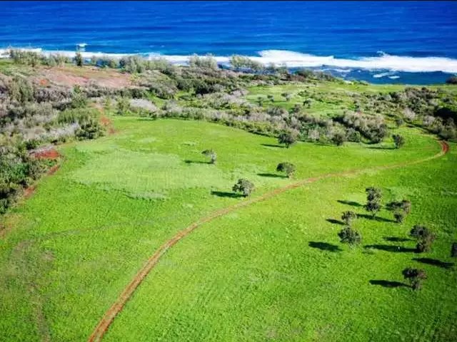 Mark Zuckerberg House