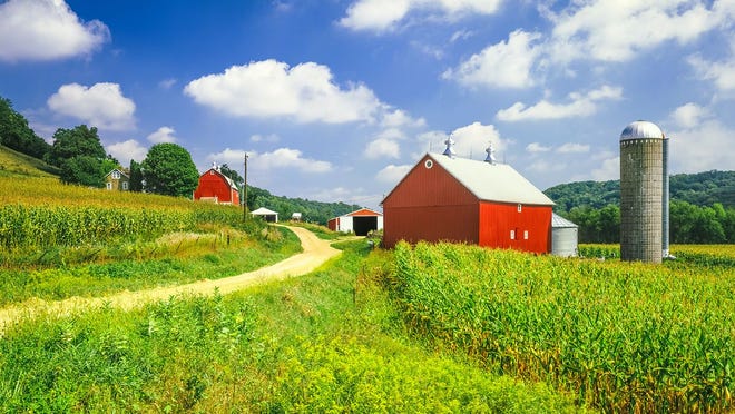 Agriculture Land