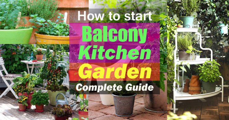 How to Start a Balcony Kitchen Garden