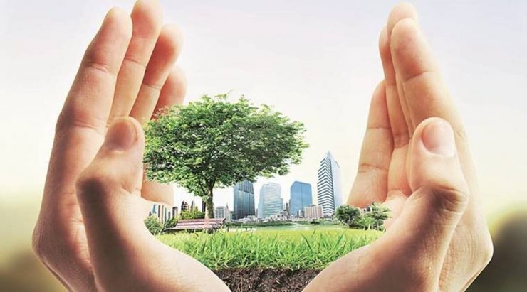 Agro-Realty: A new investment trend in India