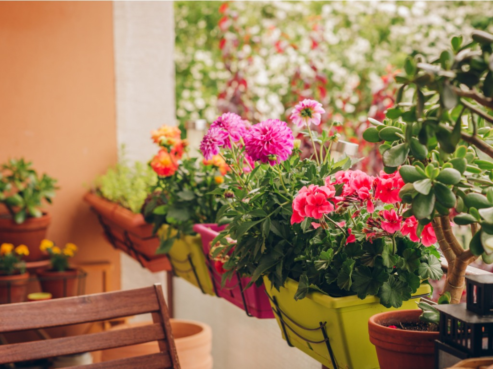 Start with a Few Pots in Garden at balcony