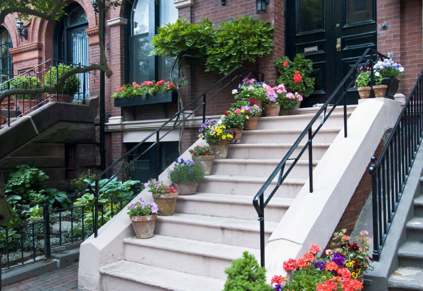 Staircase Plants are a Good Idea