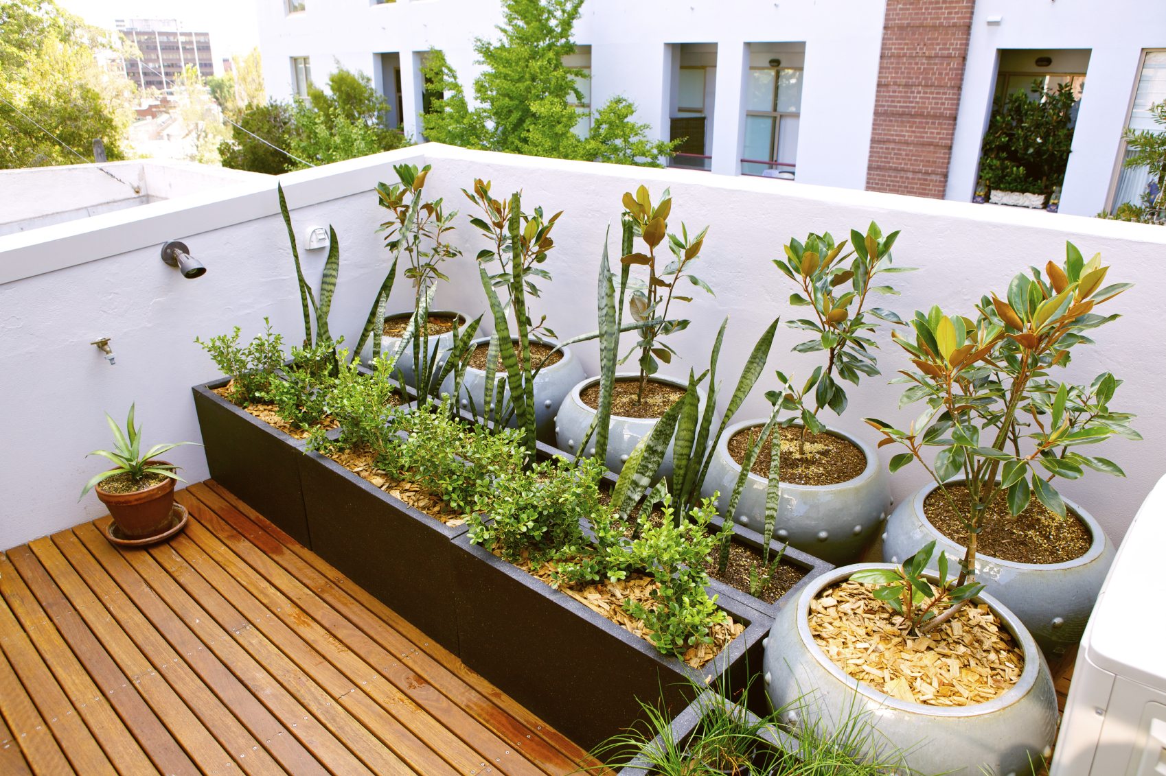 Rooftop Garden