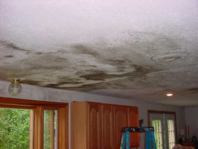 Tips To Remove Dampness or Seelan from Walls