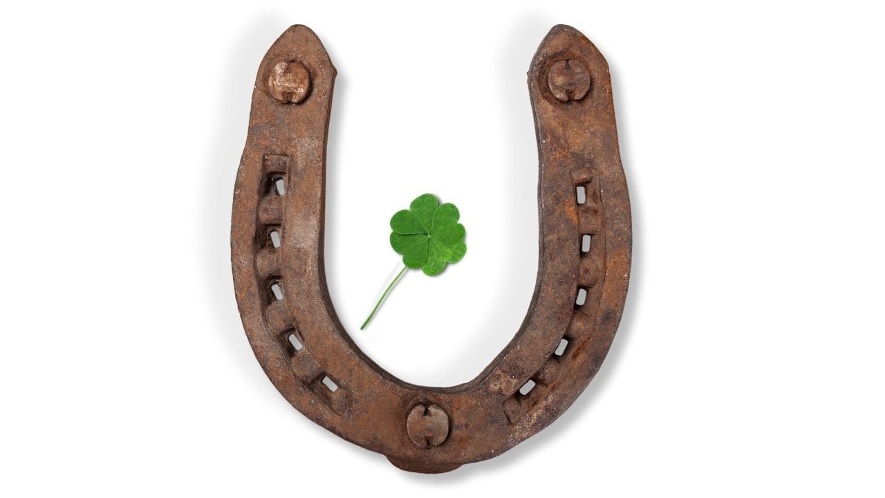 Horseshoe Amulet