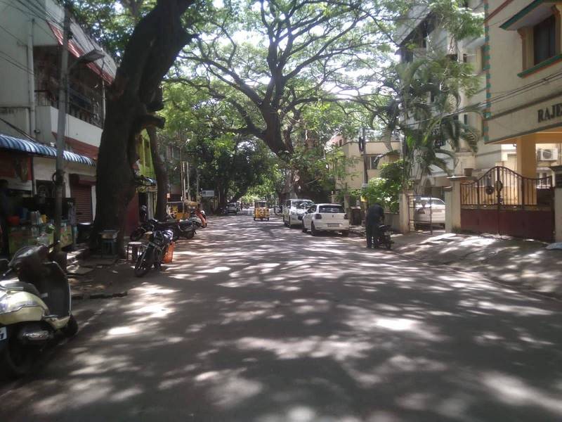 R.A Puram Chennai Posh Area