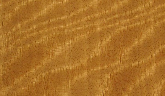 Satin Wood (Chloroxylon Swietenia)
