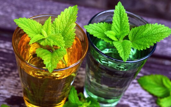 Tulsi strengthens the immune system